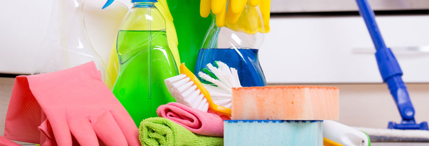 Matériel et produits de nettoyage et d'hygiène